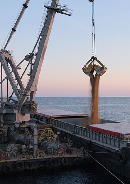 Bunker Coordination & Supplies